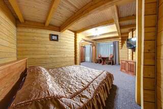 Отель Karpatski Dzherela Яремче Апартаменты-16