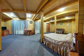 Отель Karpatski Dzherela Яремче Апартаменты-18