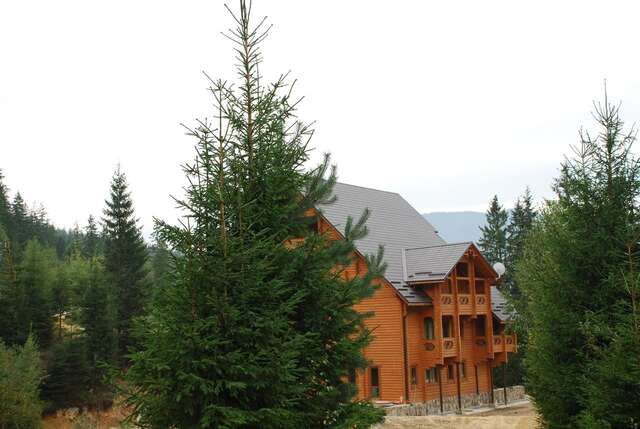 Отель Karpatski Dzherela Яремче-35