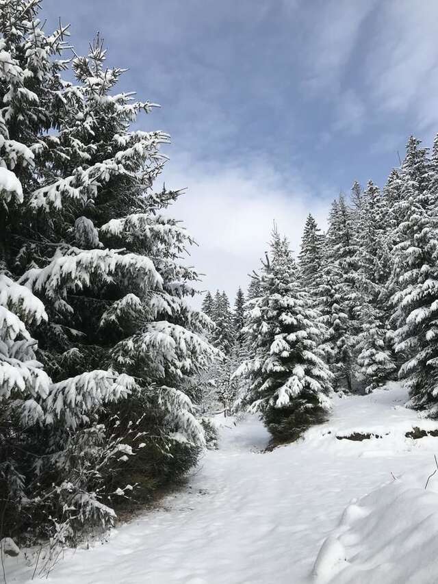 Отель Karpatski Dzherela Яремче-45